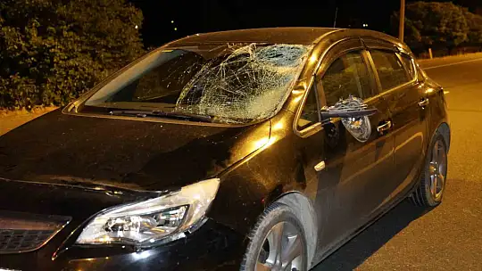 Elazığ'da otomobilin çarptığı kadın ağır yaralandı