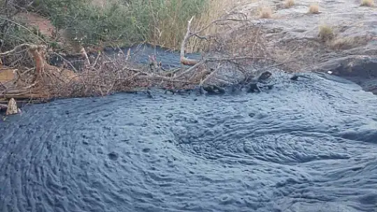 Elazığ'da petrol heyecanı