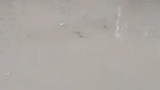 Elazığ'da sağanak, binalar su altında kaldı