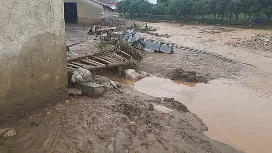 Elazığ'da sağanak yağış hayatı felç etti, 105 hayvan telef oldu