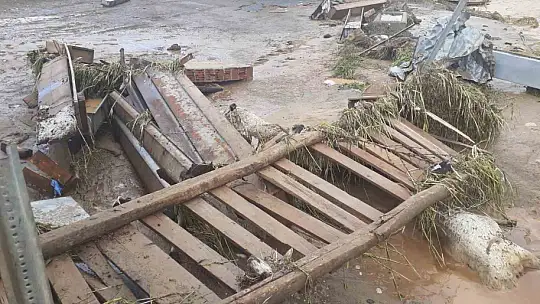 Elazığ'da sağanak yağış hayatı felç etti, 105 hayvan telef oldu