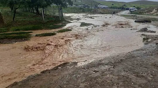 Elazığ'da sağanak yağış hayatı felç etti, 105 hayvan telef oldu