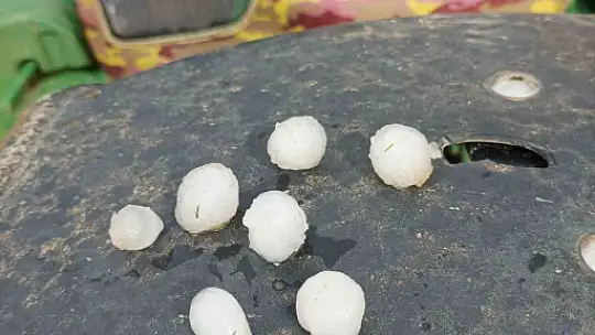 Elazığ'da sağanak yağış hayatı felç etti, 105 hayvan telef oldu