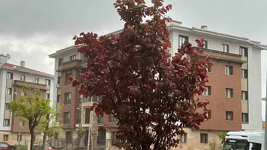 Elazığ'da sağanak yağış