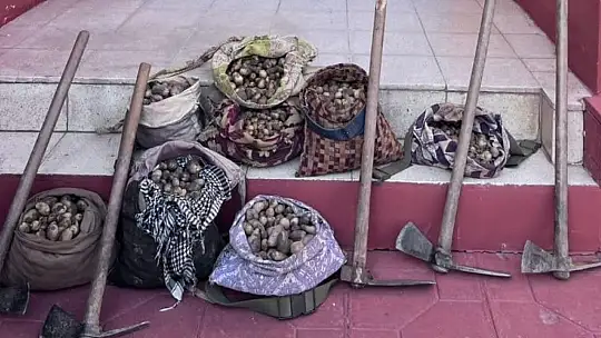 Elazığ'da salep soğanı toplayan 13 kişiye 1 milyon 518 bin lira ceza