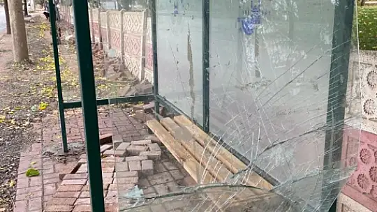 Elazığ'da şehir magandaları durak camlarını kırdı