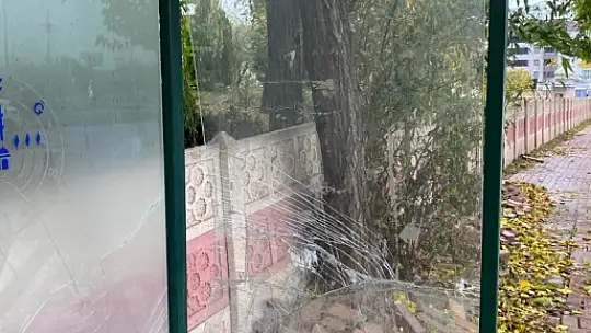 Elazığ'da şehir magandaları durak camlarını kırdı