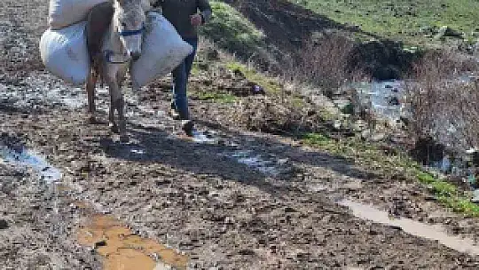 Elazığ'da selde çöken yolu kullanamayan köylüler hayvanlarına eşekler ile yem taşıyor