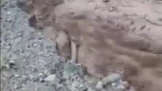 Elazığ'da şiddetli yağış sonrası dere coştu