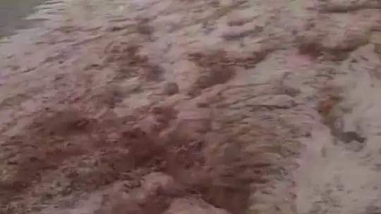 Elazığ'da şiddetli yağış sonrası dere coştu