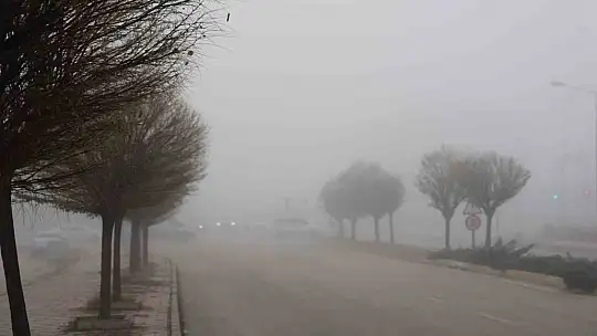 Elazığ'da sis hayatı olumsuz etkiledi