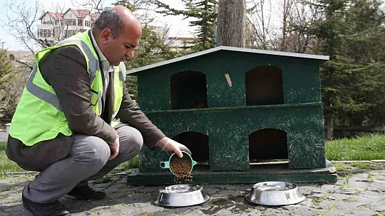 Elazığ'da sokak hayvanları unutulmadı