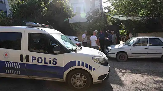 Elazığ'da sokak köpekleri dehşeti: Koyun ve tavukları telef ettiler, 3 koyunu yaraladılar
