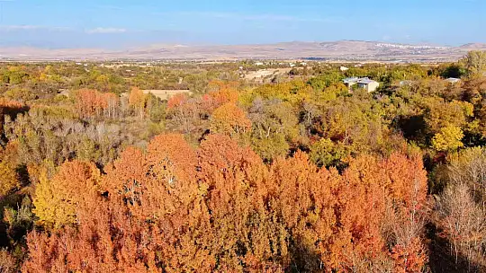 Elazığ'da sonbahar güzelliği