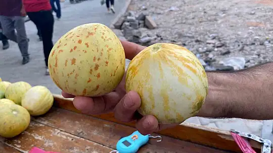 Elazığ'da susuz yetişen Kultik kavunu tezgahlarda