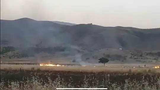 Elazığ'da tarlada çıkan anız yangını söndürüldü