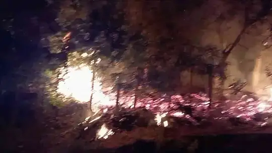Elazığ'da tarlada çıkan yangını köylüler söndürdü