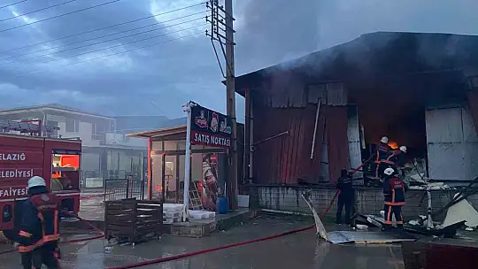 Elazığ'da tavuk fabrikası alev alev yandı