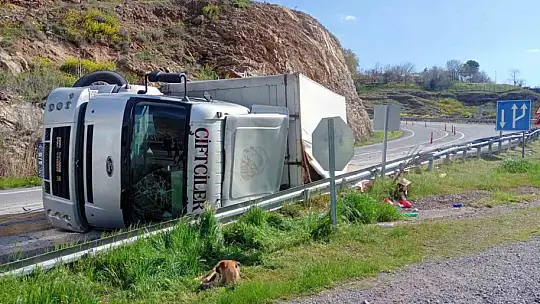 Elazığ'da tır devrildi: 2 yaralı