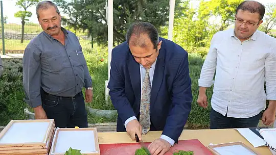 Elazığ'da üreticilere ipek böceği larvası dağıtıldı
