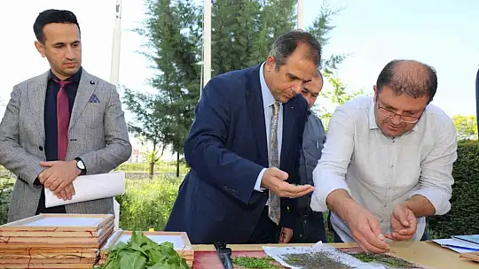 Elazığ'da üreticilere ipek böceği larvası dağıtıldı