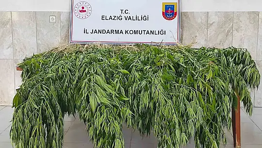 Elazığ'da uyuşturucu operasyonu: 3 gözaltı