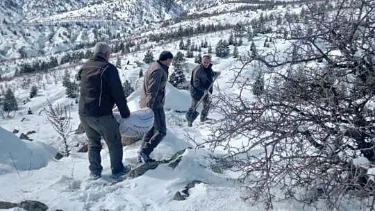 Elazığ'da yaban hayvanları için doğaya yem bırakıldı