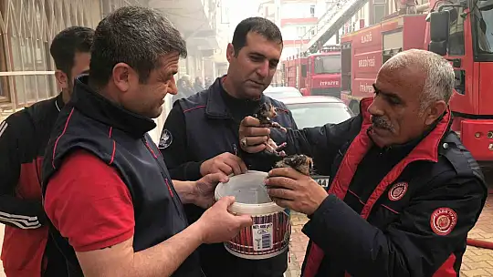 Elazığ'da yangın: 3 ev kullanılamaz hale geldi