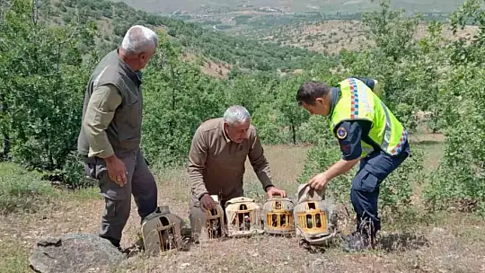 Elazığ'da yasa dışı avcılık yapan 4 kişi yakalandı