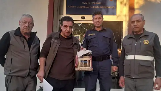 Elazığ'da yasadışı avcılık yapan şahsa idari işlem uygulandı