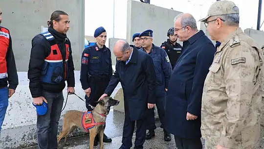 Elazığ'da yol kontrol uygulaması gerçekleştirildi