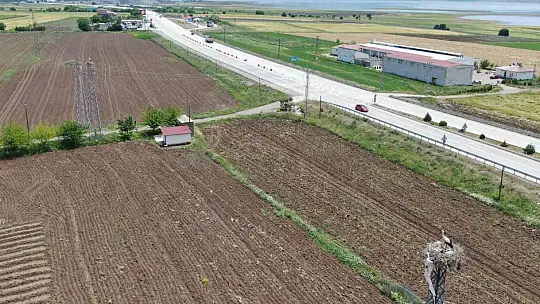 Elazığ'daki köy, 10 leylek yuvasına ev sahipliği yapıyor