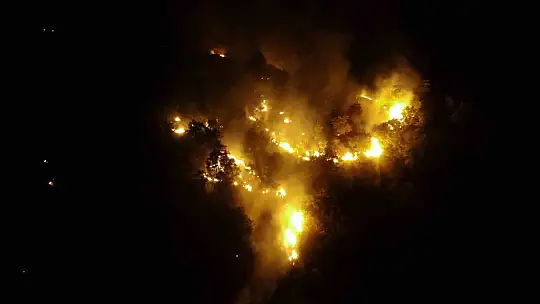 Elazığ'daki orman yangını kontrol altına alındı
