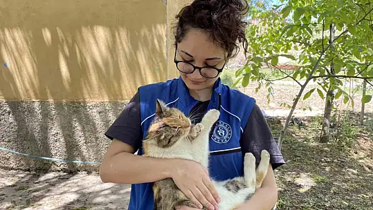 Elazığ'ın genç gönüllülerinden sokak hayvanlarına mama desteği