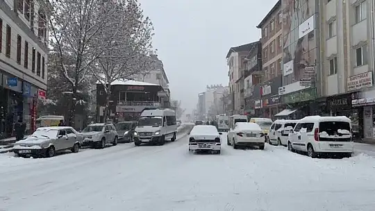 Elazığ'ın ilçelerinde kar yağışı etkili oldu
