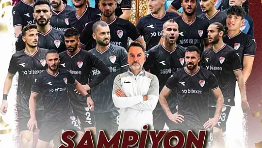 Elazığspor, TFF 2. Lig'e yükseldi