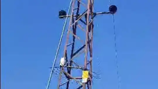 Elektrik tellerine çarpan kargalar nedeniyle alev alan tarla, vatandaşlar tarafından söndürüldü