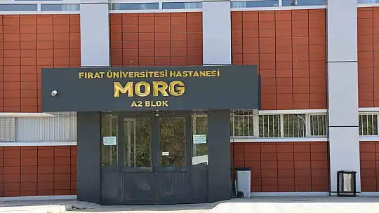 Eski eşi tarafından 13 yerinden bıçaklanan kadın yaşam savaşını kaybetti
