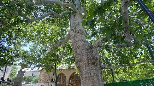 Evliya Çelebi gölgesinde not almıştı, ağırlığını kaldıramayınca güçlendirildi