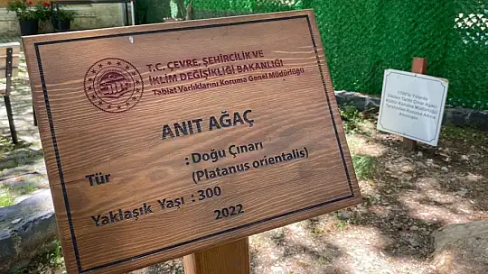 Evliya Çelebi gölgesinde not almıştı, ağırlığını kaldıramayınca güçlendirildi