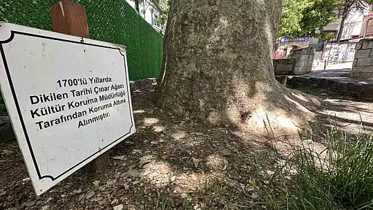 Evliya Çelebi gölgesinde not almıştı, ağırlığını kaldıramayınca güçlendirildi