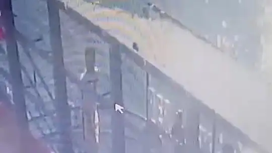 Feribottan baraja atlamıştı, o anlar kameraya yansıdı