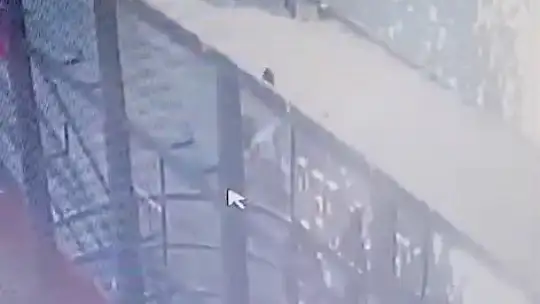 Feribottan baraja atlamıştı, o anlar kameraya yansıdı