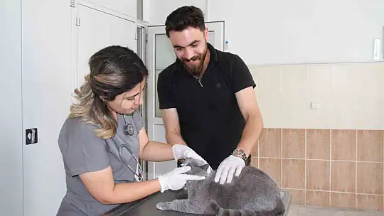 Fırat Üniversitesi Hayvan Hastanesi'nde 5 ayda 3 bin hayvan tedavi edildi