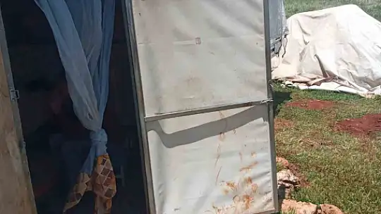 Fırtına ve yağmur 10 koyun telef etti