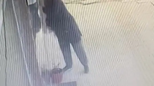 Gözüne kestirdiği çiçeği saksısıyla birlikte saniyeler içerisinde götürdü