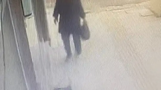 Gözüne kestirdiği çiçeği saksısıyla birlikte saniyeler içerisinde götürdü