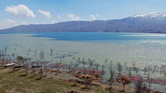Hazar Gölü'nün kıyısı renk değiştirdi