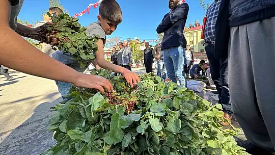 İbn-i Sina'nın önerisi 'kuzu kulağı' her derde deva