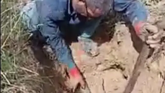 İçme suyu borusundan metrelerce ağaç kökü çıktı, görenler hayrete düştü